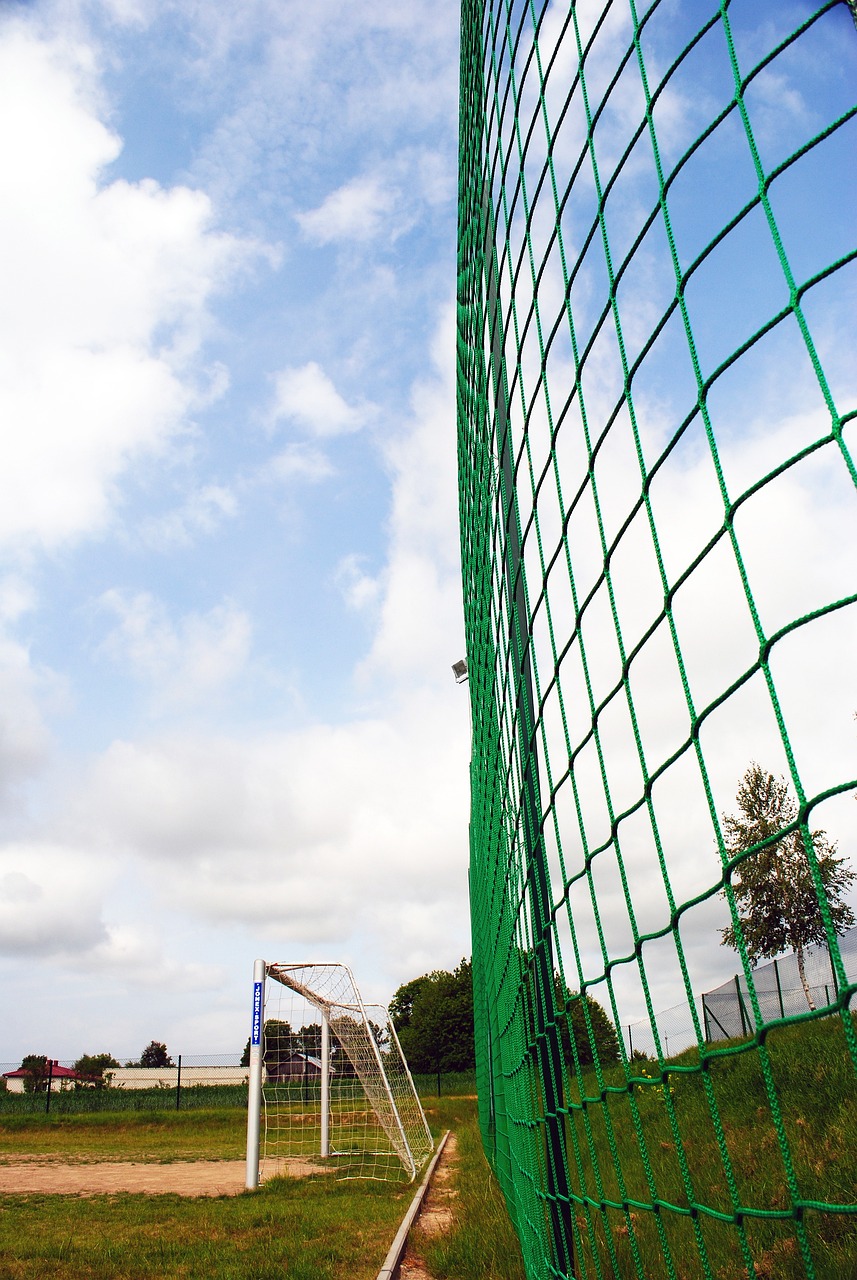 通过明星效 通过明星效