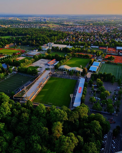 下一代伊涅 下一代伊涅