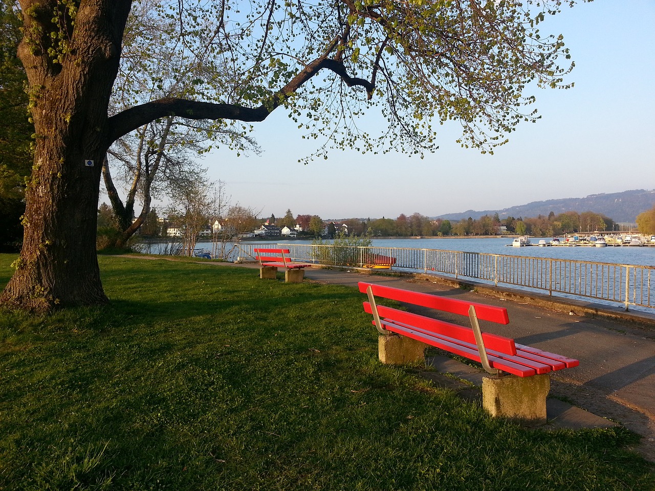 及其未来展 及其未来展