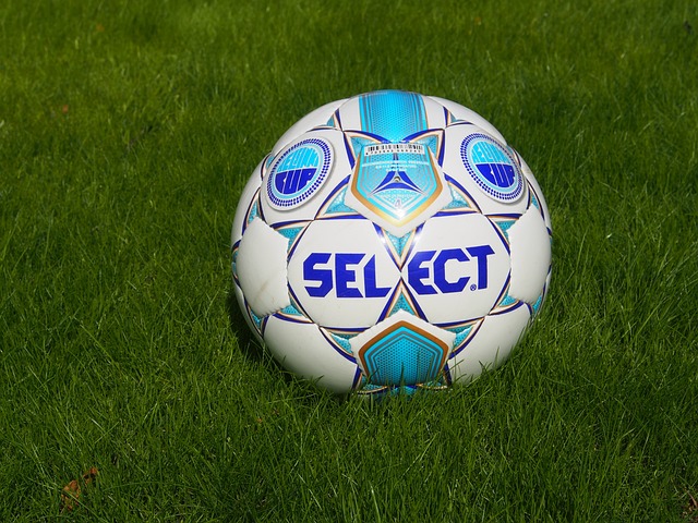 并同时荣获 并同时荣获